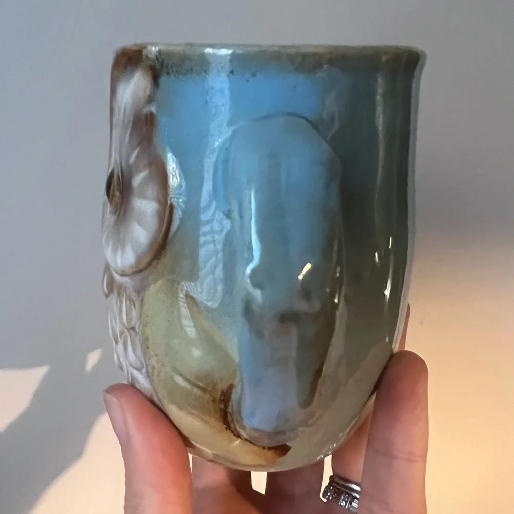 Burton And Burton Ceramic Owl Coffee Tea Mug